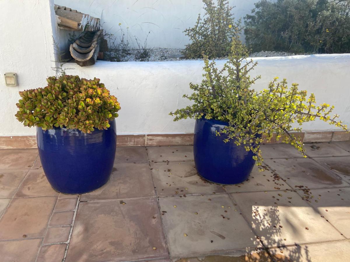 Javea Villa Entiere Piscine Et Cuisine D'Ete A Pinosol Екстер'єр фото